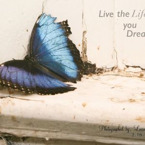 Meet your Posher, Lucia q